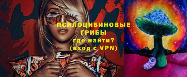 бошки Алзамай