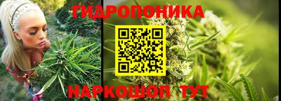 скорость Кинель