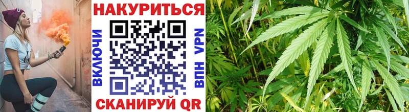 купить закладку  Карпинск  Канабис план 
